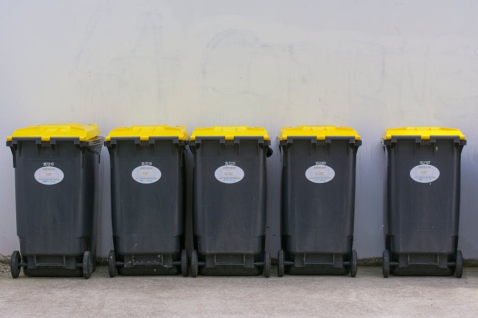 A large outdoor area shows numerous stacked cardboard boxes filled with what appears to be fresh fruit packaging, positioned on wooden pallets. The boxes are primarily white with colourful branding and labels, some displaying words like ‘fresh’ and ‘fruits,’ and are arranged in multiple layers. To the left, there are several dark green and red plastic waste bins with closed lids, contrasting with the boxes. To the right, a metal shelving unit holds various smaller cardboard boxes and plastic packaging, some opened and partially collapsed. Behind the shelving, additional cardboard boxes and packaging materials are visible, creating a cluttered scene typical of a collection or sorting yard for waste or recyclables. The background features a blurred rural landscape with trees, greenery, and a distant house, indicating an outdoor setting with natural lighting. The overall environment suggests an area used for waste collection or disposal, aligning with alternative rubbish removal methods that may be handled privately by services such as Waste Clearance Islington, focusing on more local, on-site waste management tasks.